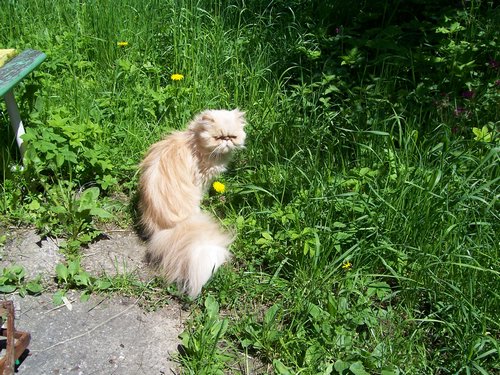 100_1629.JPG