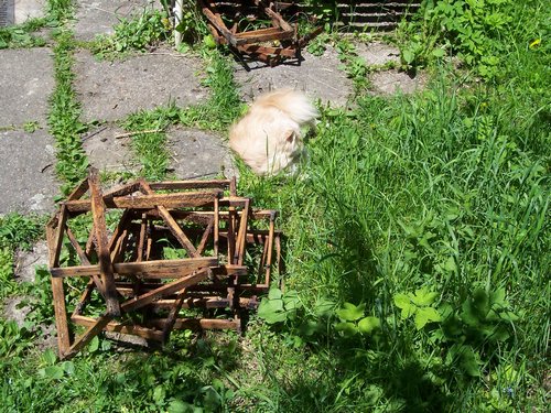 100_1630.JPG