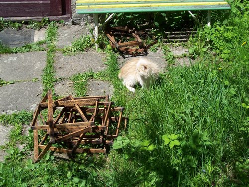 100_1631.JPG