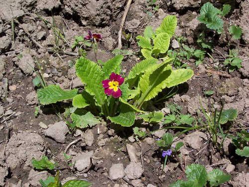 100_1634.JPG