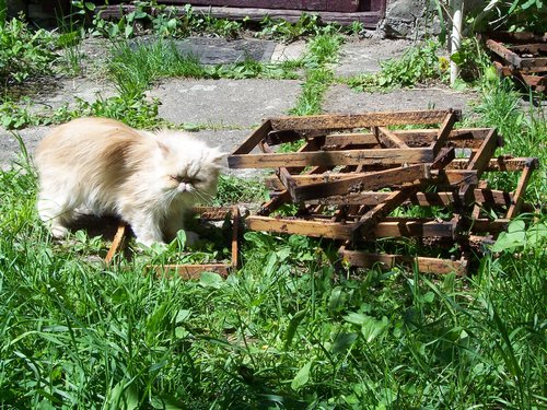 100_1636.JPG