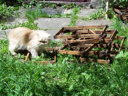 100_1637.JPG