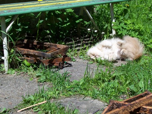 100_1638.JPG