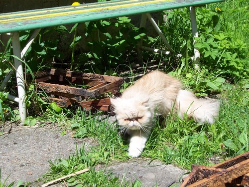 100_1639.JPG